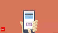 Private banks levy charges for more than 20 P2P UPI payments per month 