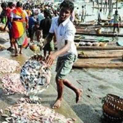 Fishing holiday in place; fishermen urged restraint