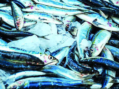 There’s nothing fishy about this