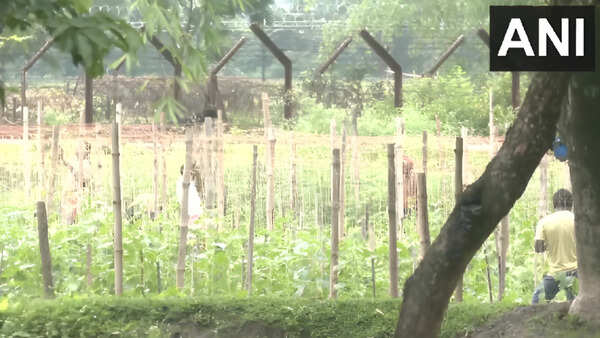 India-Bangladesh border fencing work begins in West Bengal's Siliguri after land transfer to BSF