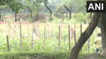 India-Bangladesh border fencing work begins in West Bengal's Siliguri after land transfer to BSF