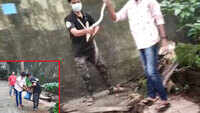 Watch: Municipal Corporation workers rescue snake from Thane property 
