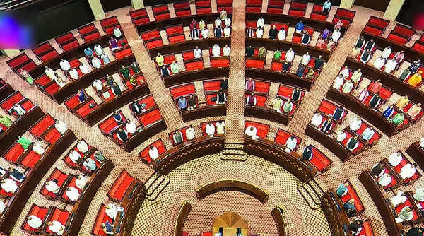Women remain underrepresented in Raj’s RS, only nine women in 74 years
