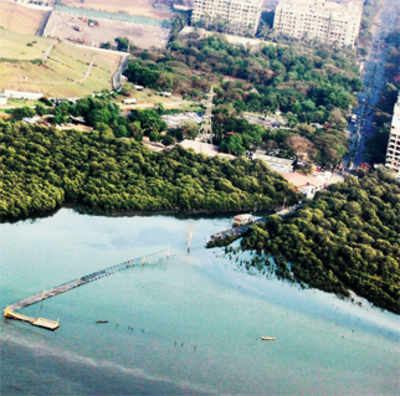 Rs 100-cr protective ring for mangroves