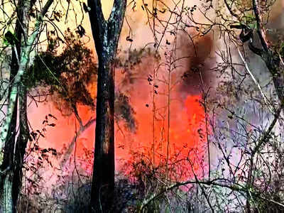 Forest department gets into fire fighting mode with drones