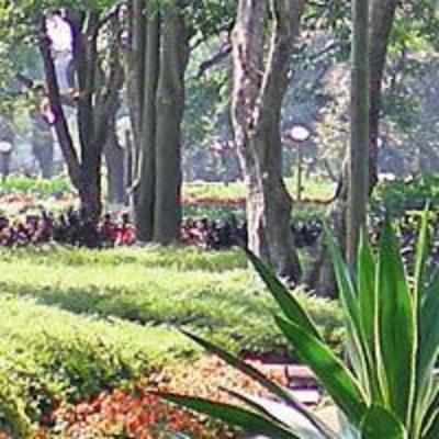 Plant trees and win Rs 50,000