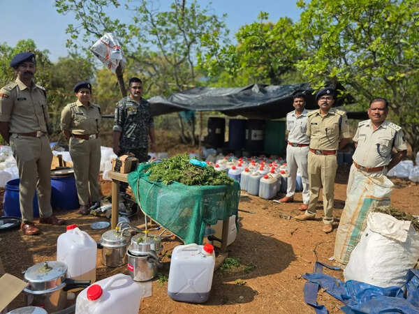 1,800 litres of hash oil, worth Rs 200 cr, seized from Koraput forests