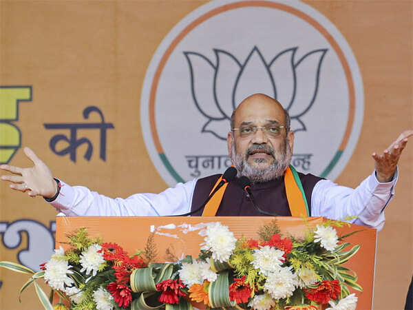 All-India NRC by 2024, all illegals will be expelled before polls: Amit Shah