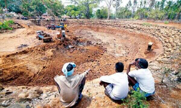 Chamarajanagar, Mysuru farmers feel the heat as fodder turns scarce