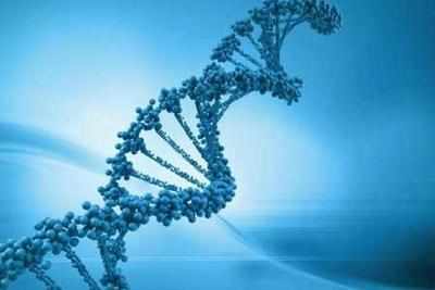 Trials on DNA-centric drugs can give hope for permanent cure of some diseases