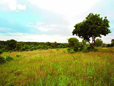 BM Simply Put: Hesaraghatta Grassland