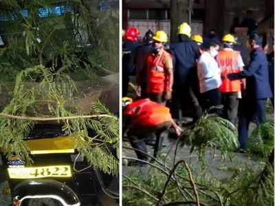 Thane: Two killed after tree falls on auto-rickshaw