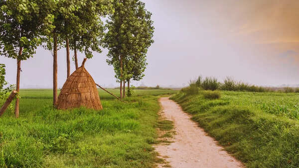 Why is this village in Maharashtra being called the Future of Rural India?