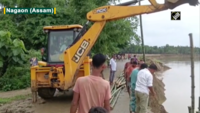 Assam Villagers use bamboo to provide foundational support to eroding road in Nagaon 