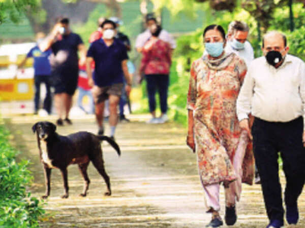 As parks reopen, Delhi takes corona restrictions in stride