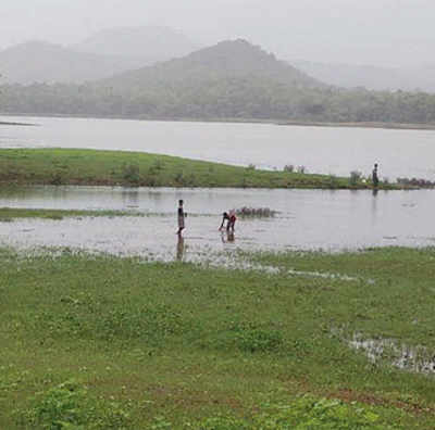 Mum-Nagpur highway will cut right through Tansa Lake Sanctuary