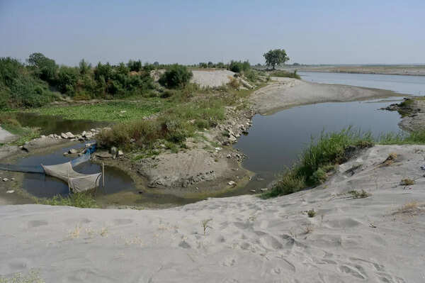 Why Yamuna Is Now Brownish Narrow Stream