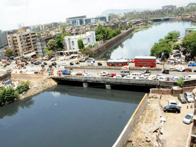 BMC builds bridge over Mithi River in record 5 months