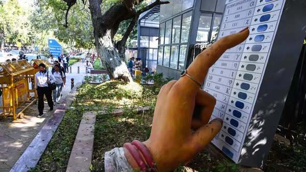 Red zone Gadchiroli may break polling record, cross 72%