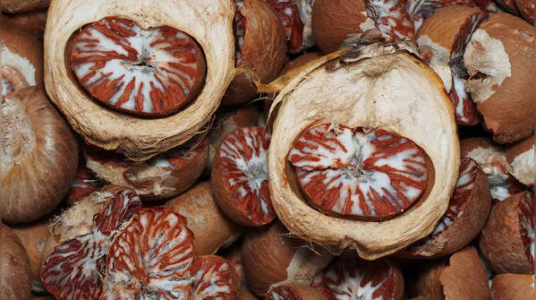 Betel nuts