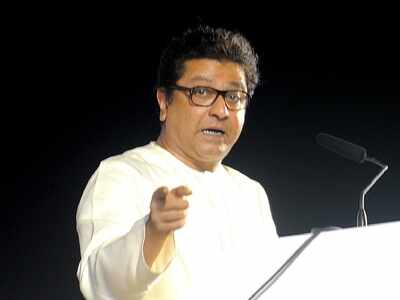 MNS to go solo in Maharashtra Assembly polls? Raj Thackeray gears up for state elections after failing to make an impact in Lok Sabha polls