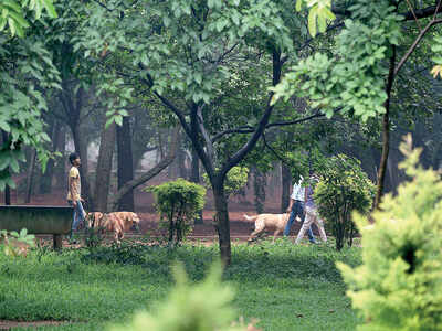 Cubbon Park lovers frown at smart plans