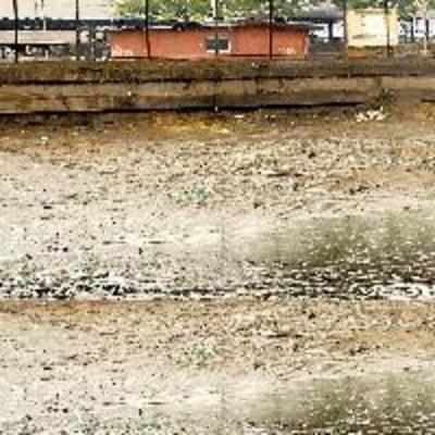 Abattoir waste in Deonar stormwater drains?