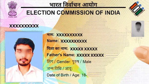 Hack of the day: Need a digital copy of your voter card? Do it instantly