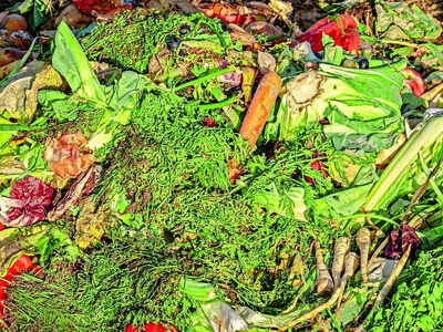 Composter in our backyard