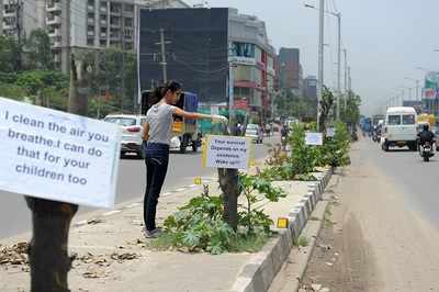 24 trees cut for mere visibility of hoarding in Bengaluru's Bellandur