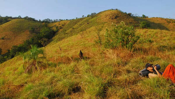 After brief ban, Karnataka launch portal to facilitate trekking expeditions in forests