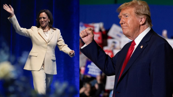 Is Harris' sudden rise putting Trump team in panic mode?