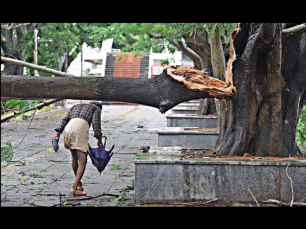 Kochi: Rain batters district, efforts on to dewater flooded areas