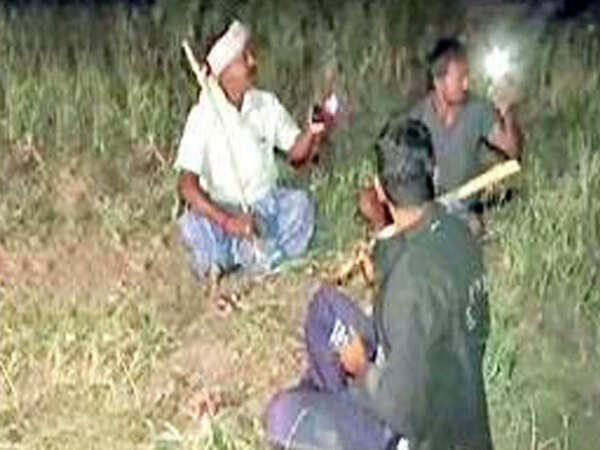 Karnataka onion thefts: Gadag farmers burn midnight oil to save pricey crop