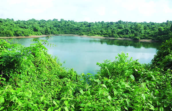 Health dept cautions against swimming in and drinking stagnant water to beat extreme heat