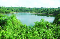 Health dept cautions against swimming in and drinking stagnant water to beat extreme heat