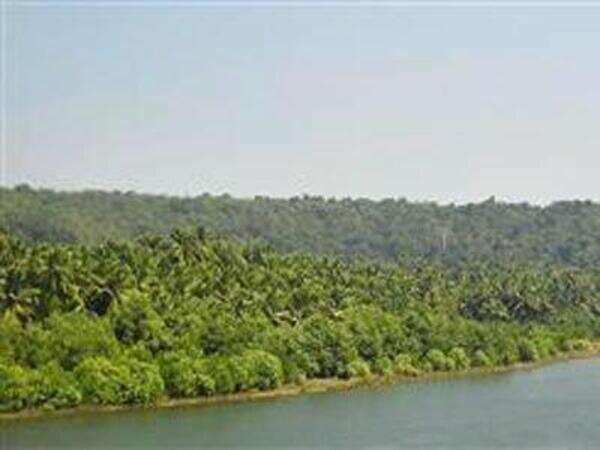 Manpur forest turns into dumpyard
