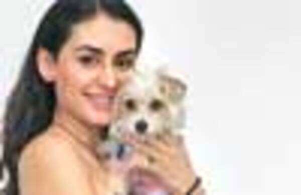 Who wants a man? Women rather prefer dogs!