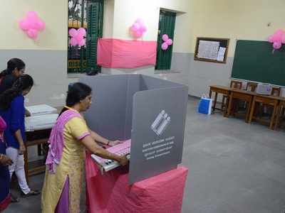 Telangana Assembly elections: Women's polling stations will not be painted pink