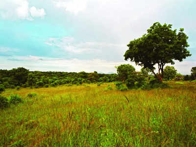 Ring of protection around Hesaraghatta grassland