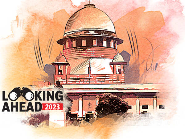 Will Supreme Court legalise same-sex marriage, criminalise marital rape? 