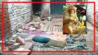 UP: House wall collapses after violently shaken by monkeys; woman and her 4 children die on spot 