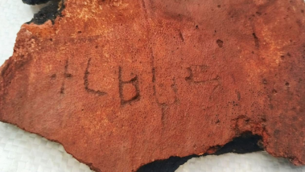 ASI finds Chera period potsherd at Kumarikkalpalayam excavation site in Tirupur district