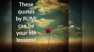 Proverb About Life Lessons