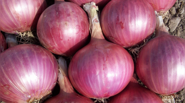 Red onions