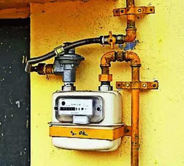 Expedite pending PNG connections, Bhojpur DM directs suppliers
