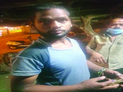 Man rapes dog in Mysuru, act caught on camera