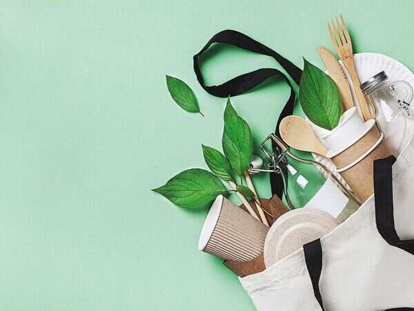 Leading a sustainable lifestyle? Here’s your checklist