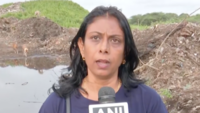 Hyderabad: Activists allege Municipal Corporation killed 150 stray dogs 