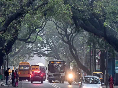 Cold winds from North India bring colder week to Bengaluru